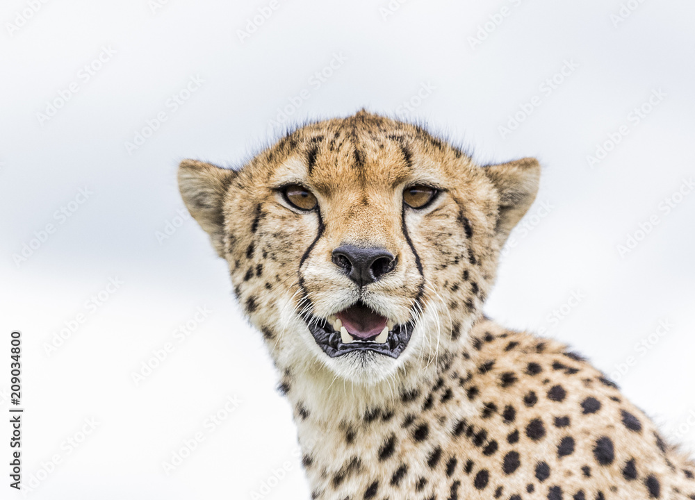 Serengeti National Park