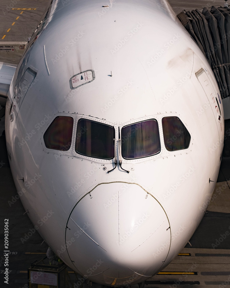 Nose of airliner