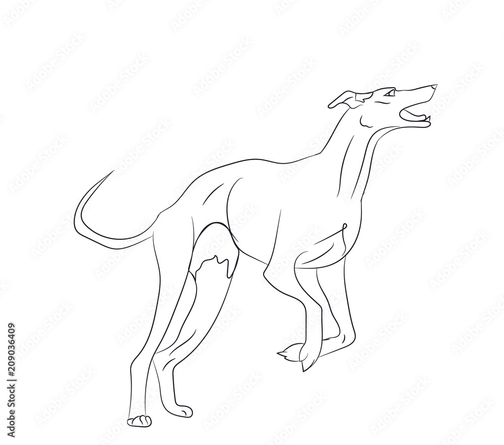 Fototapeta premium dog running, lines, vector