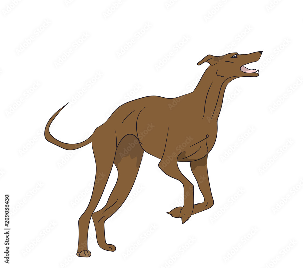 the dog is jumping, color, vector