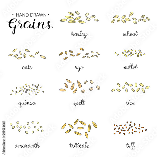 Hand drawn cereal grains set.