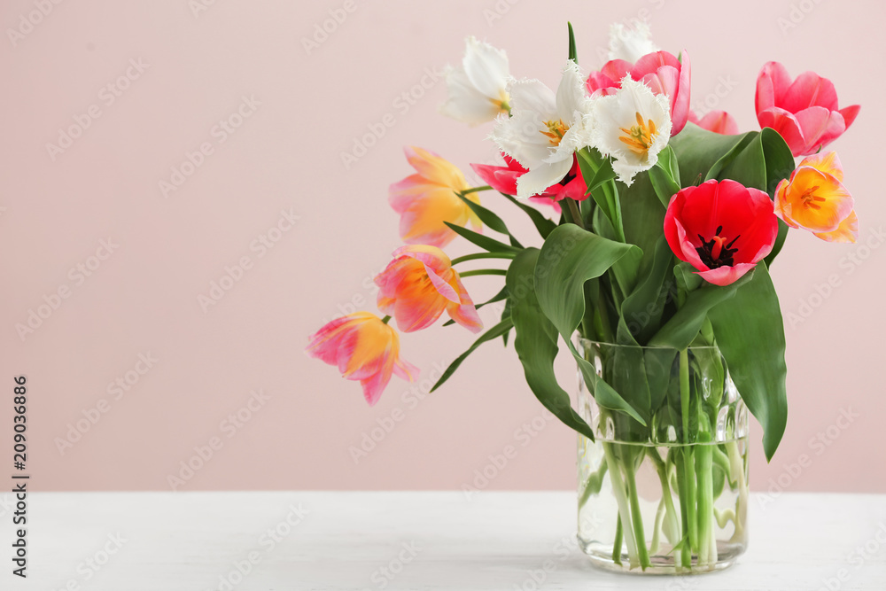 Vase with beautiful tulips on  light table against color background