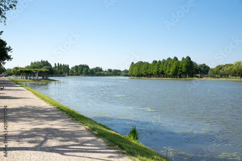 Wallpaper Mural 新緑の公園 Torontodigital.ca