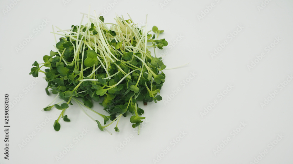 Kaiware on white back ground japanese vegetable. Kaiware on white back ground japanese vegetable.