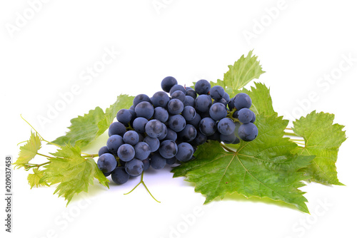 Blue Muscat grapes bunch isolated on white background  with grape green leaves. 