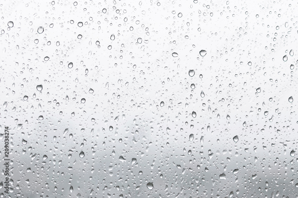 rain drops rain drops