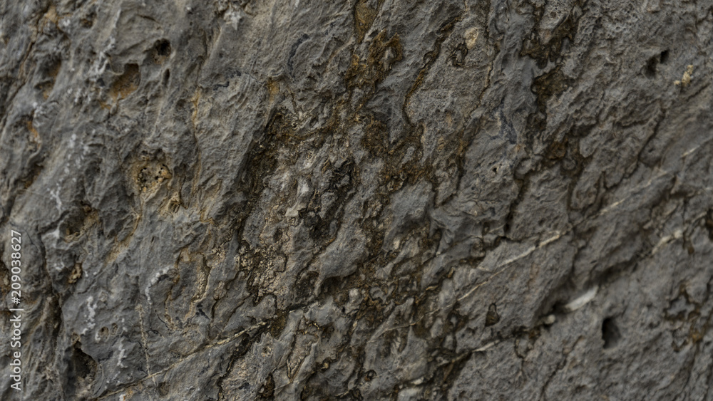 In the piece of rock, the barely visible minerals of the minerals are visible. In the piece of rock, the barely visible minerals of the minerals are visible.
