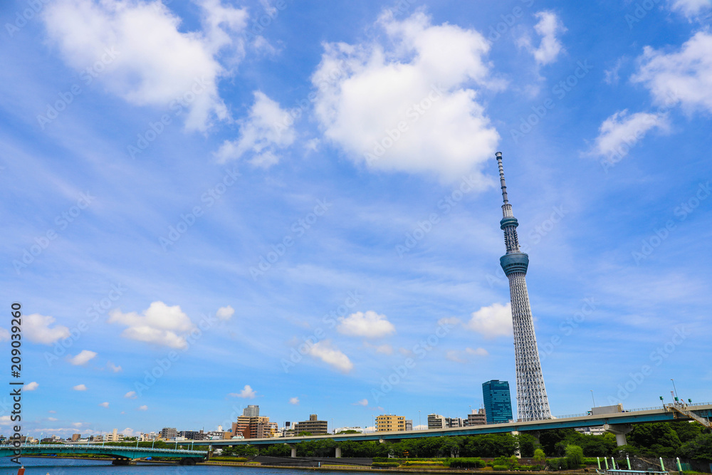 Fototapeta premium 東京スカイツリー