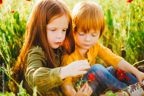 Little red-haired children are sitting in a poppy field.