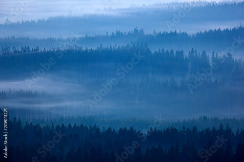 Krkonose mountain,morning foggy forest. Misty landscape with fog and clouds, mountain spruce trees, Czech Republic, central Europe.