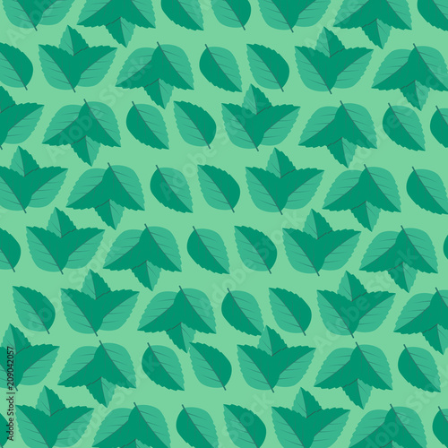 Fresh mint leaf. Mint leaves vector logo