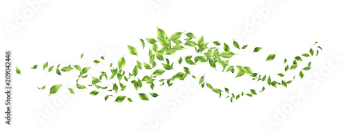 Green Flying Leaves