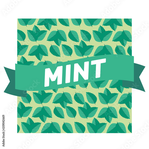 Fresh green tea sprig and mint leaves. Mint leaves vector logo