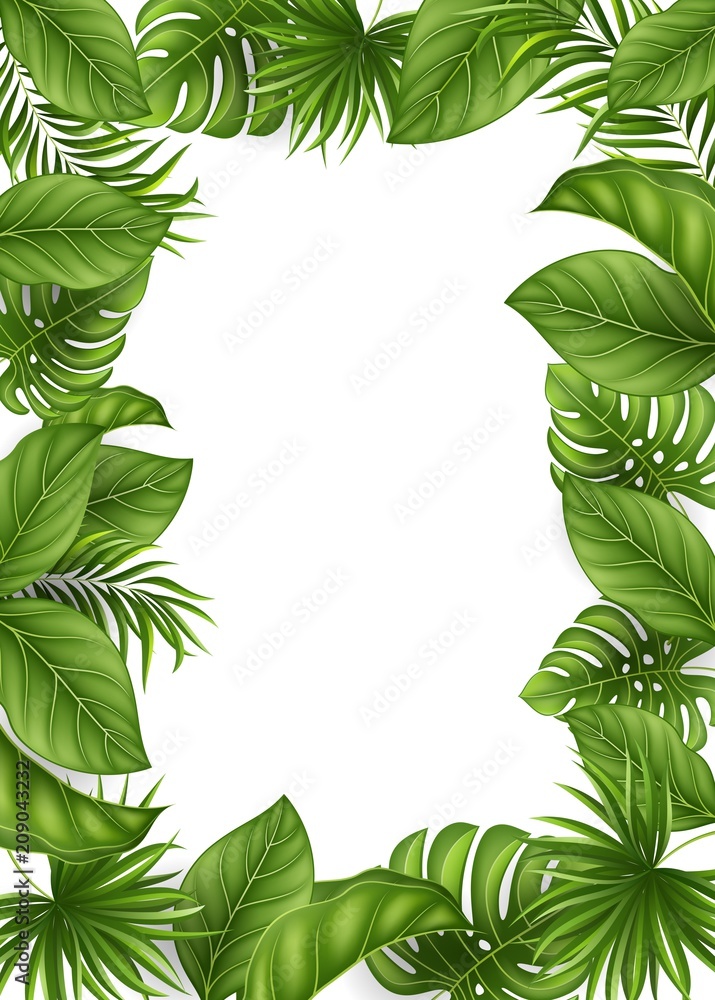 Summer background with jungle plants Summer background with jungle plants