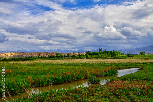 Beautiful summer meadow with green grass and low clouds