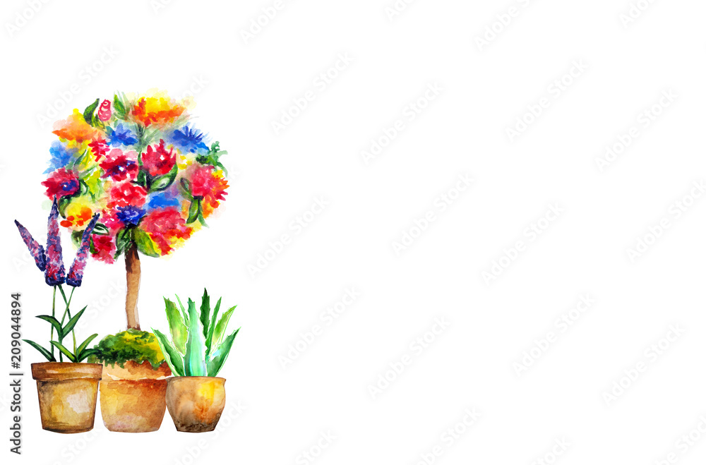 Obraz premium water colour flower topiary tree