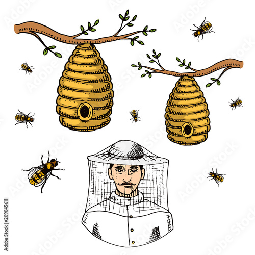 Apiary farm vector hand drawn vintage honey making farmer beekeeper illustration nature product by bee
