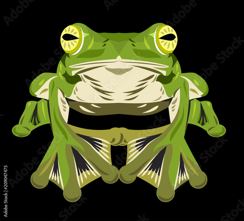 Portrait of a green frog