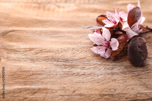 Beautiful blossoming flowers on wooden background