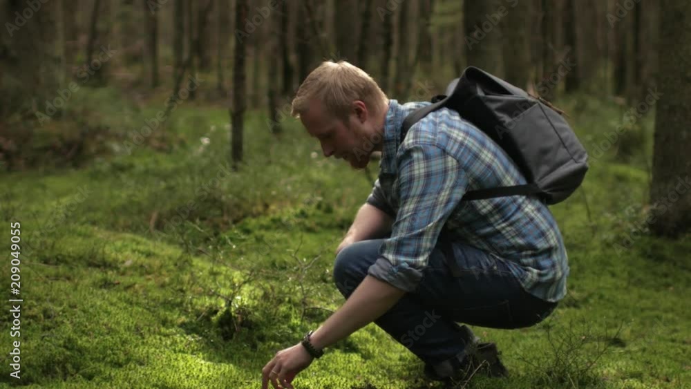the traveler is walking, looking in the forest