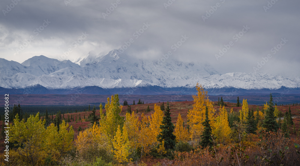 Autumnal Denali National Park Scenery in cloudy day