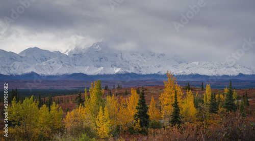 Autumnal Denali National Park Scenery in cloudy day