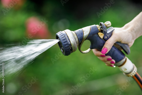 Watering garden flowers with hose