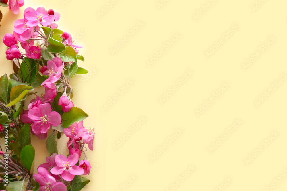 Naklejka premium Beautiful blossoming branches on color background