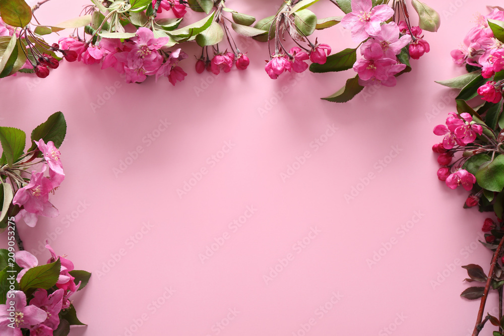 Beautiful blossoming branches on color background Beautiful blossoming branches on color background