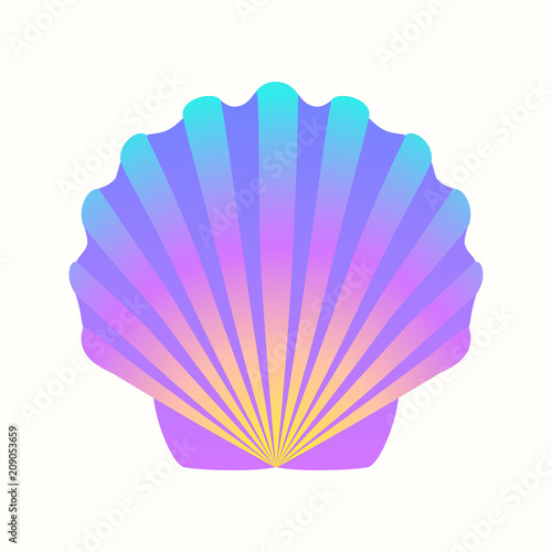 Shells. Summer themes, marine life.