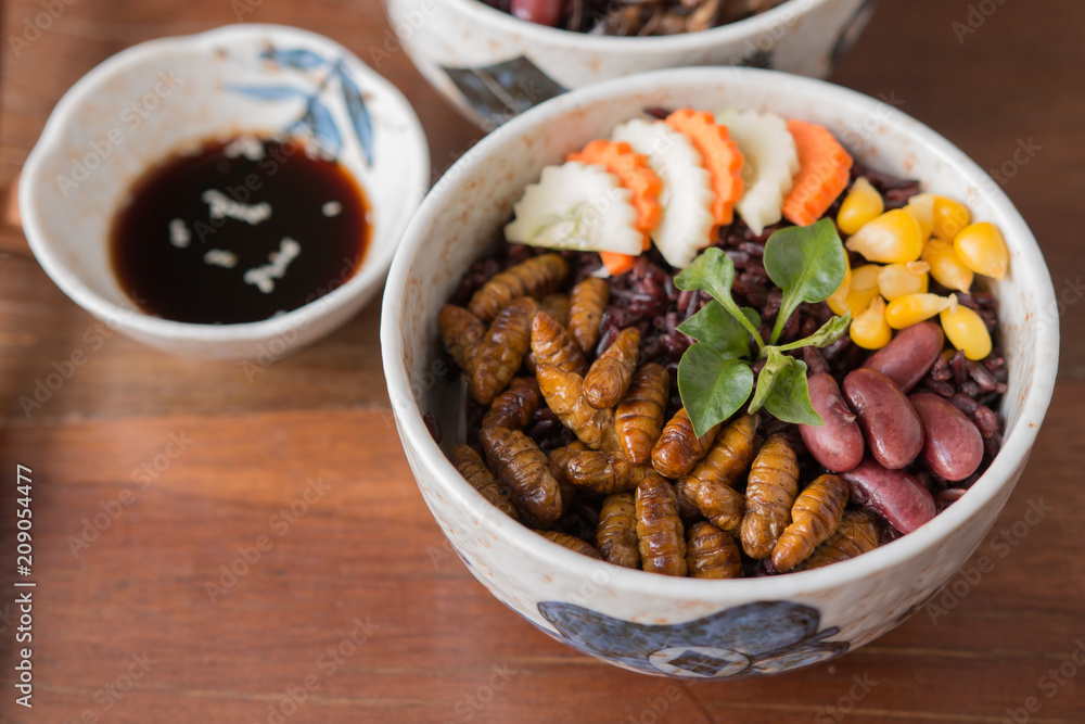 Fototapeta premium Insect and Rice Berry