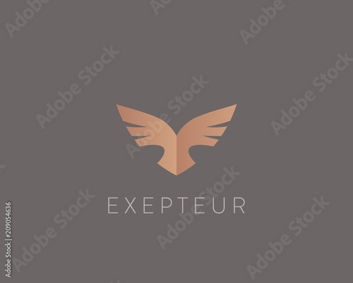 Abstract bird logo design. Creative eagle symbol. Luxury falcon hawk logotype.