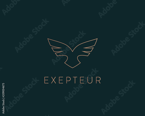 Abstract bird logo design. Creative eagle symbol. Luxury falcon hawk logotype.
