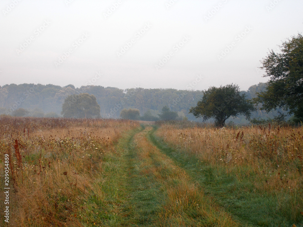 Obraz premium Road in the field