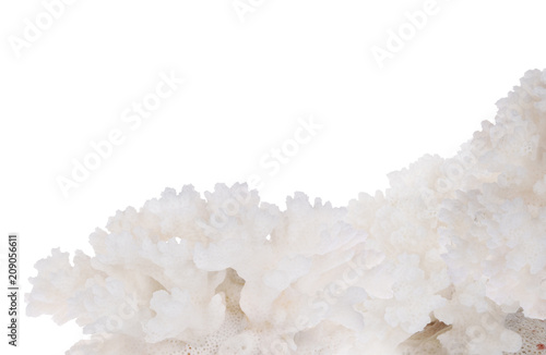 lush white isolated coral corner