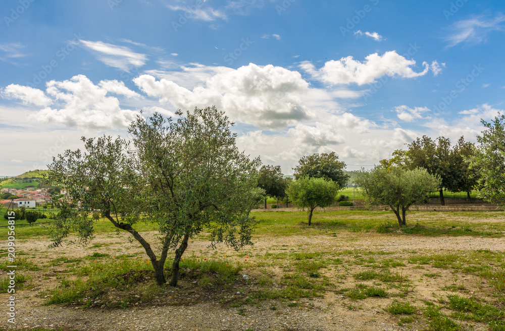 view of Marmilla Region. Marmilla is a natural region of southern-central Sardinia, Italy. view of Marmilla Region. Marmilla is a natural region of southern-central Sardinia, Italy.