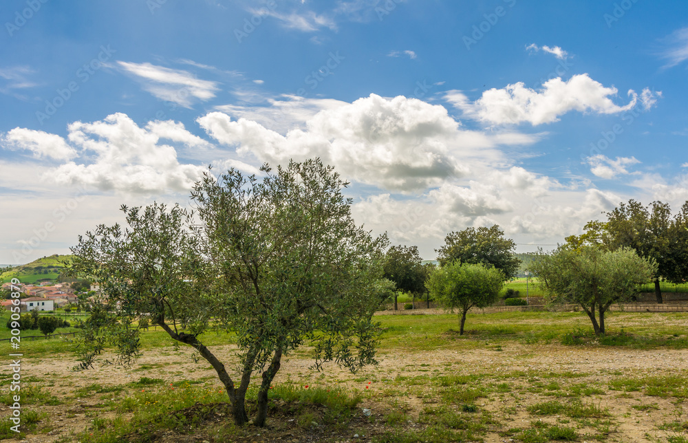 view of Marmilla Region. Marmilla is a natural region of southern-central Sardinia, Italy. view of Marmilla Region. Marmilla is a natural region of southern-central Sardinia, Italy.