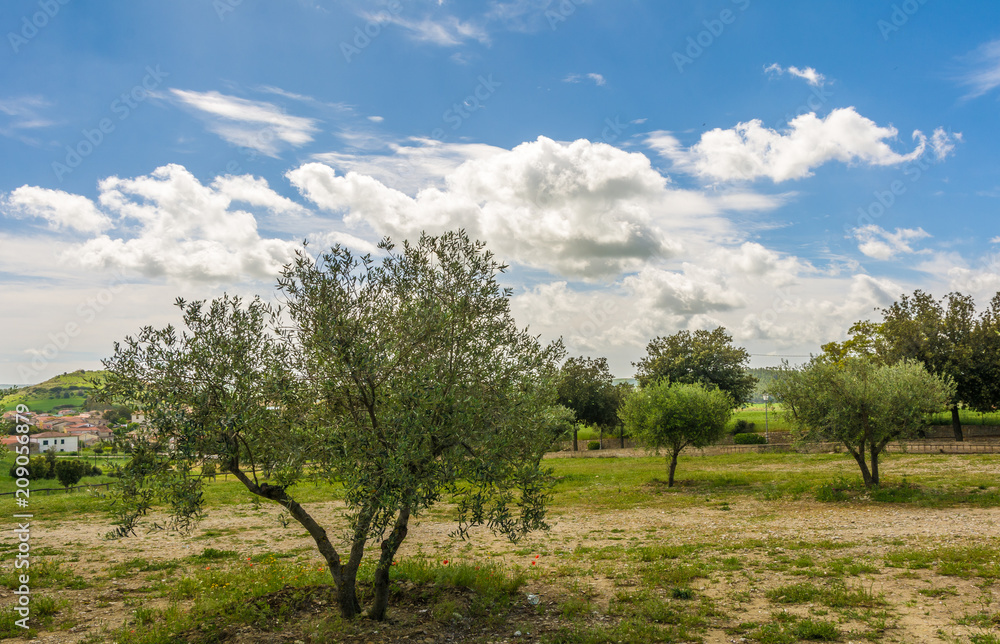 view of Marmilla Region. Marmilla is a natural region of southern-central Sardinia, Italy.