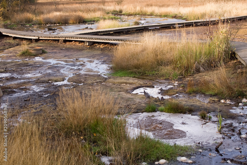 Semi dry pond with walking trail.