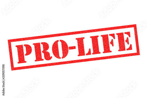 PRO-LIFE Rubber Stamp