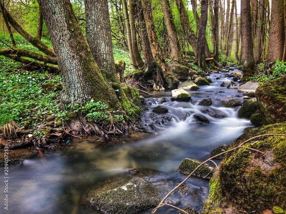 Water rushing from small creek.