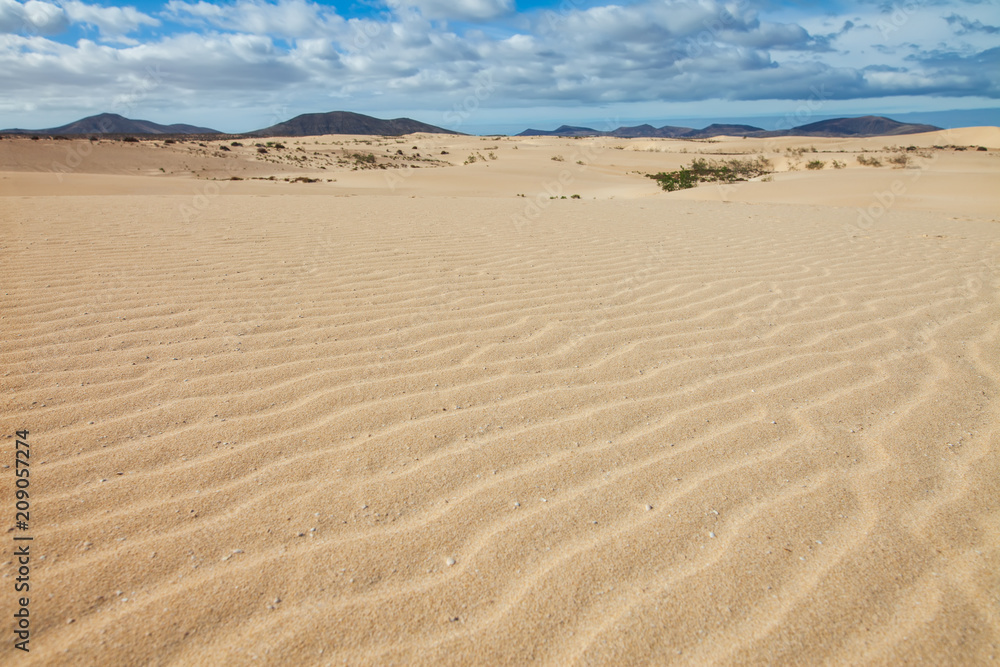 Desert dunes landscape in Corralejo, Fuerteventura, Canary islands, Spain.