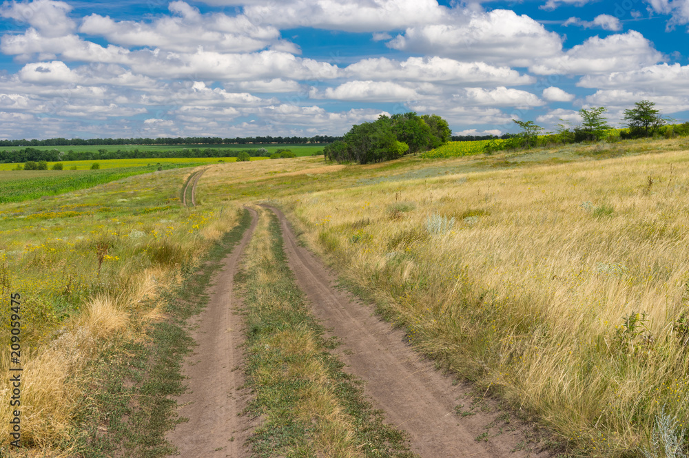 Earth road through summer meadow near Dnipro city in central Ukraine Earth road through summer meadow near Dnipro city in central Ukraine
