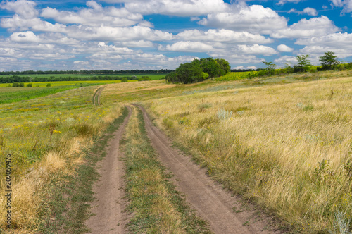 Earth road through summer meadow near Dnipro city in central Ukraine
