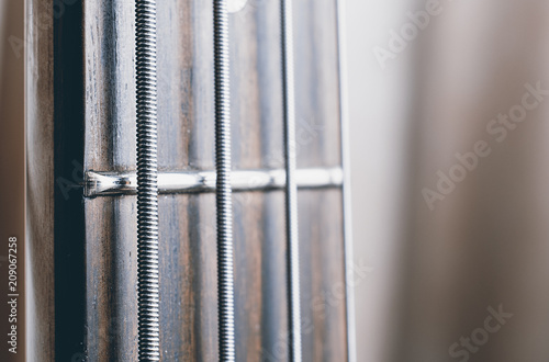 Bass guitar rosewood fretboard closeup showing string detail.