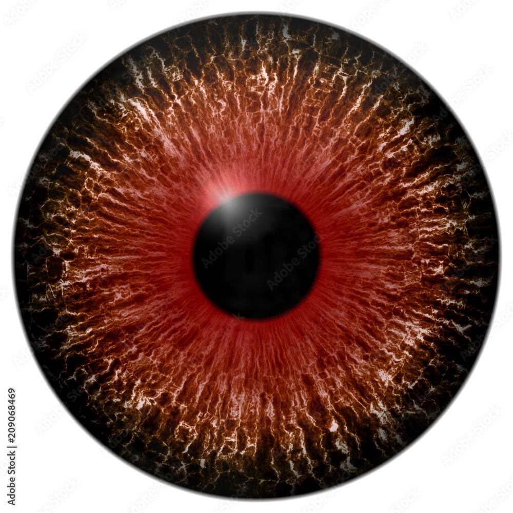 Red and brown eye 3d texture with black lines and fringe Stock ...