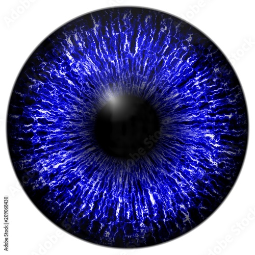 Blue eye texture with black fringe and white background 