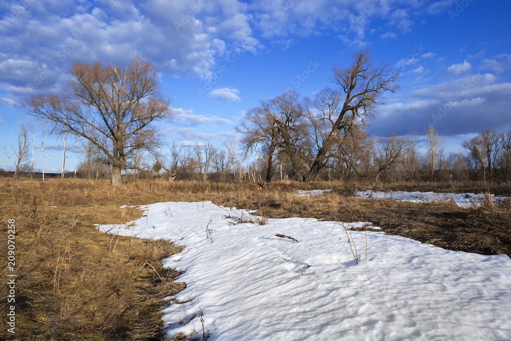 Spring landscape river, forest and clouds on a blue sky Spring landscape river, forest and clouds on a blue sky