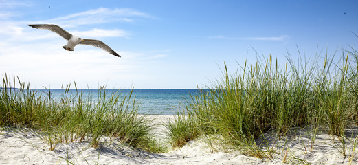 Deken met foto Badkamer Rustig Oostzeestrand met zacht zandkust  © by-studio