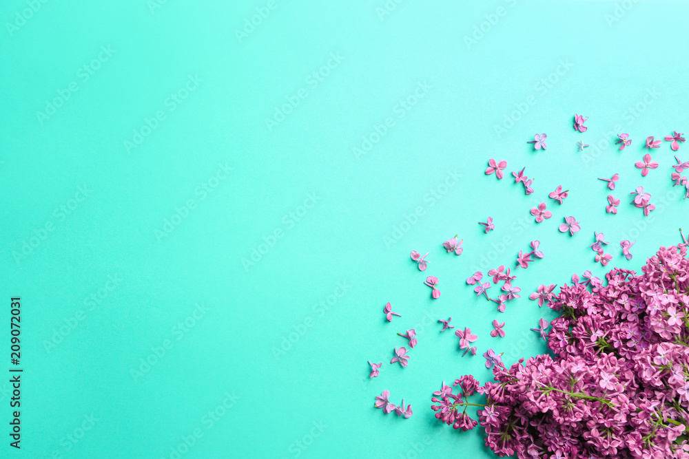 Beautiful blossoming lilac on color background Beautiful blossoming lilac on color background